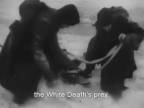 Sabaton - White Death (text)