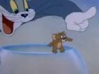 Tom a Jerry - kráska