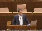 Michal Straka (Ego) v parlamente