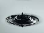 Nigel Stanford: Cymatics