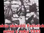 Je Andrej Kiska fašistická sviňa (Rudolf Vaský)