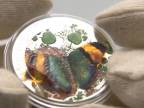 Exkluzivne mince - 3D motýľ