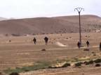 WAR:Zbabelý sýrsky vojaci prchaju pre vlkmi z ISIS