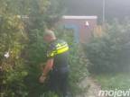 Holandskí policajti už boli po vianočné stromčeky!