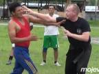Kung Fu San Soo (功夫散手) vs. Karate ( 空手)