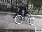 Elektrizujúci bicykel vs. zlodeji z geta (USA)