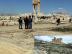 Palmyra pred a po
