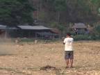Pastier volá svoje stádo (Thajsko)