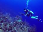 Z pohotového potápania sa stala nervózna dráma (Nikaragua)