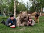 Namiesto psa majú obrovského medveďa (Rusko)