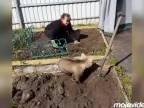 Najlepší pomocník v záhradke (Rusko)