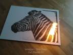 Umenie s pušným prachom - zebra