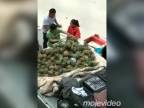 Šmejd predáva ananásy (Čína)