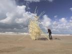 Plážové veterné obludy Thea Jansena