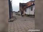 Ako svinsky zapôsobiť na ženy v slume (Brazília)