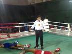 Boxeri sa vyradili vzájomným K.O. (India)