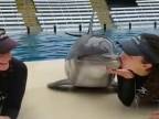 Daj mi pusu delfínček