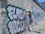 Graffiti murales tag