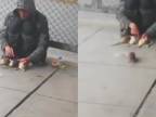 Bezdomovec cvičí potkany