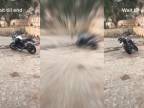 Opice si urobili z motorky prekážku (India)