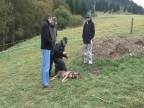 Poľovníci vs ochranári - Príklad trestného činu pytliaka poľovní
