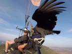 K paragliderom sa pridal počas letu sup (Španielsko)
