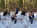 Lesný tréning s medveďom? (WTF DŇA)