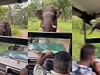 Títo turisti už pozorovať slony na safari asi nepôjdu