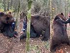 Tak čo chlapci, chcete sa zahrať s mojím medveďom? (Rusko)