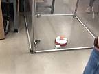 Prvý test nového modelu robotického vysávača