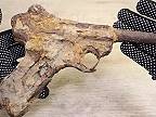 Renovácia nájdenej zhrdzavenej pištole Luger P 08 z Druhej svetovej vojny