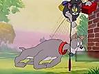 Tom a Jerry (rozprávka vs. realita)