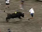 Pupkatý Kostaričan si myslel, že pred býkom ujde, mal si radšej predtým zabehať