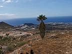 Výhľad z Jungle Parku na Los Cristianos Tenerife