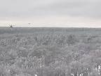 Práca ruských bojových vrtuľníkov na línii Svatovo-Kreminna
