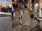 Šokujúce! robot sa pohyboval sám ulicami