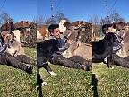Somárik, druhý najlepší priateľ človeka