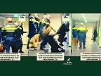 Holandský policajt zvrhol tehotnú ženu na zem