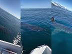 Keď ideš na oceán na ryby, nezabudni si zobrať náhradnú spodnú bielizeň!