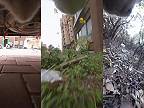 Keď mačka uniká pred svorkou túlavých psov (POV)