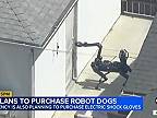 Imigračná služba plánuje kúpiť robotické psy s ramenami na kontrolu imigrantov