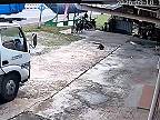 Som na teba štekal, že tam nemáš parkovať!