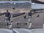 Policajný pes Bruno skočil z nadjazdu pri vyšetrovaní podozrivého predmetu