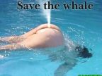 Zachráňme veľryby