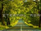 DJ TITAN - Eternal Road (Original Uplifting Mix)  - promo video