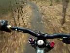 Downhill/Freeride (Swinley Forest)