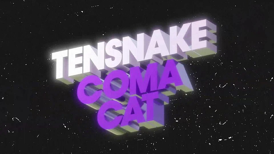 Tensnake Coma Cat Purple Disco Machine Extended Re Work Mojevideo