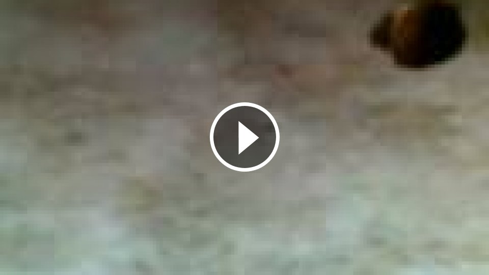 Mojevideo na privat cz Matahari salon rychly prachy maserka