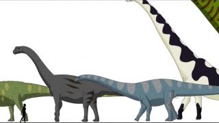 Aké veľké boli dinosaury v porovnaní s človekom?