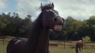 Keď sa ti kone smejú!